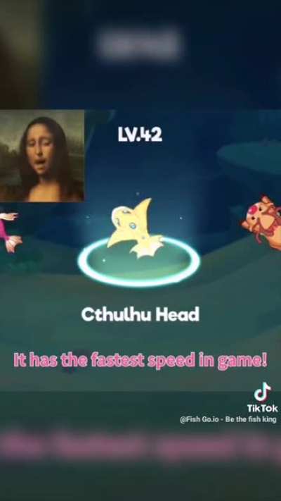What is this