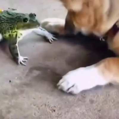 Let's play a game