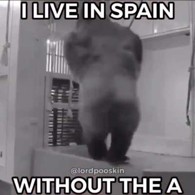 sáquenme de España