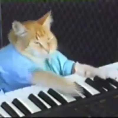 cat plays runaway on piano (OC)