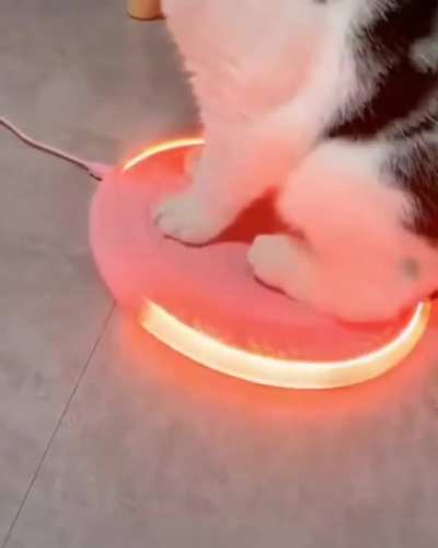 Becoming the Chosen One