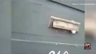 Pet won’t let the mailman do his mailing