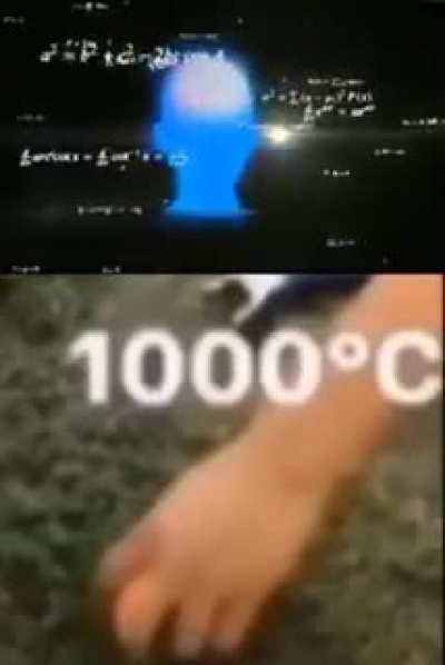 big brain
