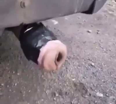 blursed_suppressor