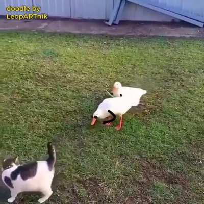 Папар<wbr>ацци