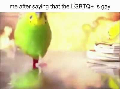 am i wrong?