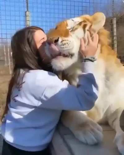 i want a tiger