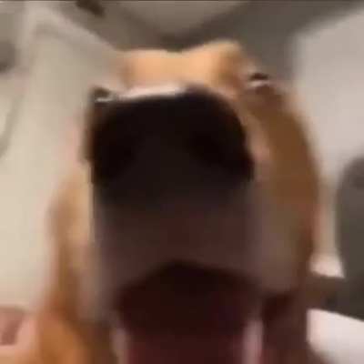 AAAAAAH
