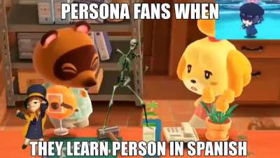 Persona is real?!?!?!?!?!