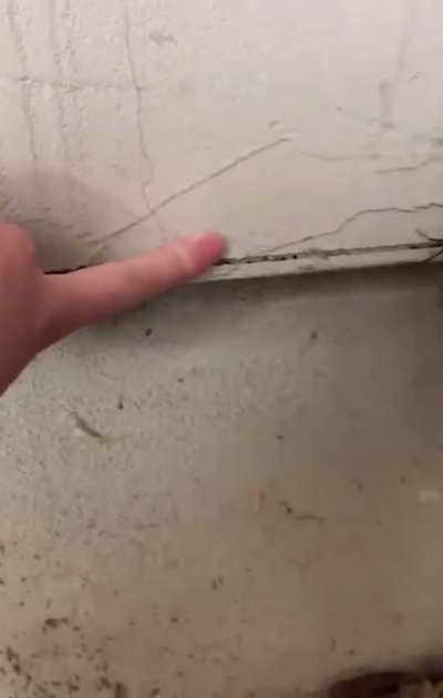More of a perfectly cut soul-leaving-my-body moment (my dog is fine btw :)