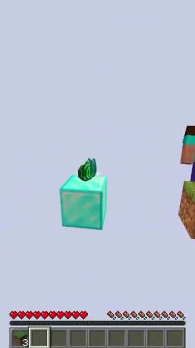 XD