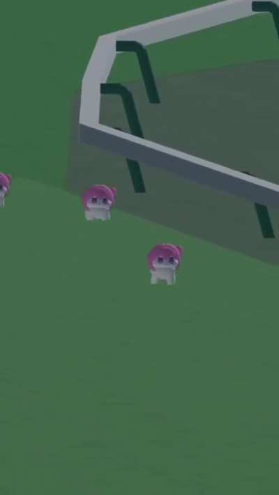 Doro race