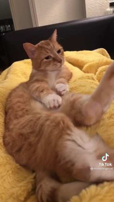 I can't believe you've done this