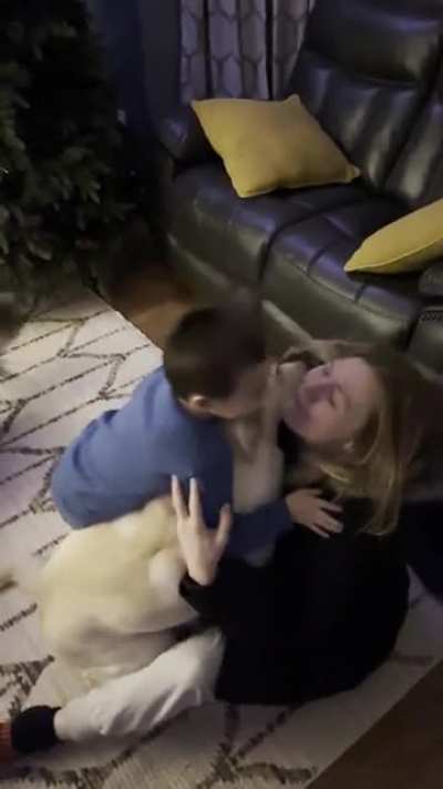 Dogs before kids I guess.