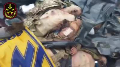 На самом деле подоб<wbr>ных видео много, в том числе в районе Изюма. Повто<wbr>рюсь ещё раз. ВСУ воюют грамо<wbr>тно, по крайней мере отдел<wbr>ьные подра<wbr>зделе<wbr>ния, но потери у них катас<wbr>трофи<wbr>чески<wbr>е, особе<wbr>нно после ударов ОТКР.