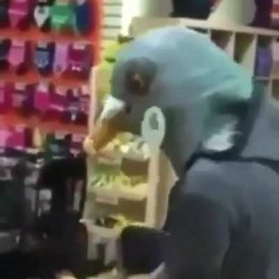 Pombo