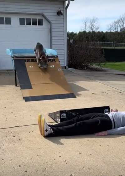ThisLooksFun 