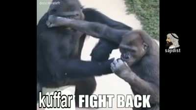 كسسسس<wbr>خنتت kuffar 😳😳😳