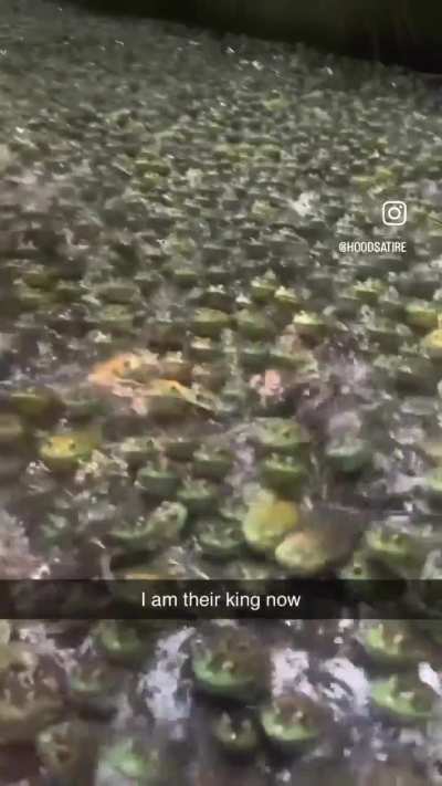 Behold, the Wunk army.