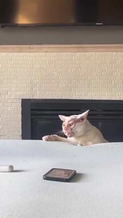 This live action remakes are getting out of hand