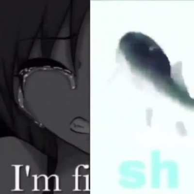 fish