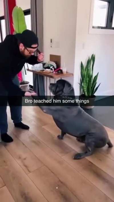 Some skills.