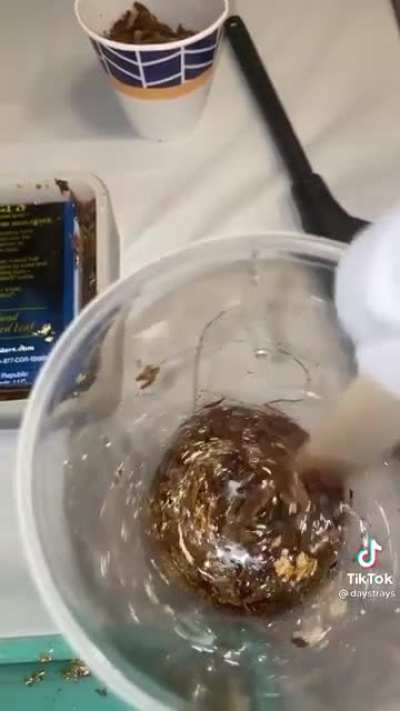 At least use some backwoods..