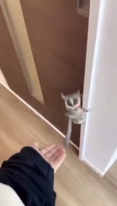 Oh lawd there he go
