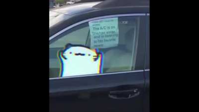 Please dont break the window