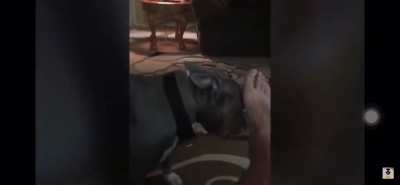 cursed_daddytoes