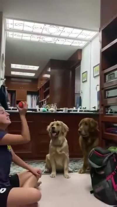 Where did the ball go?