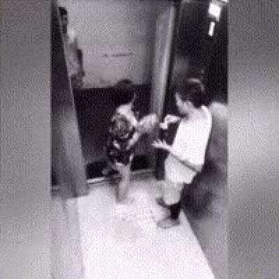 blursed fight
