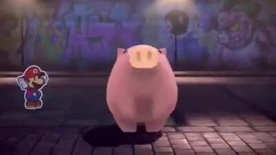 Don’t search the scientific term for pig just don’t!!