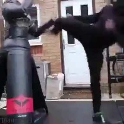 KCR + Boxing tryhards be like: