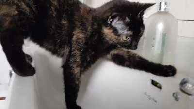 Touch tha sink touch tha soap touch tha hole touch tha sink touch tha water touch tha water water water