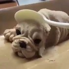 Nightmare fuel