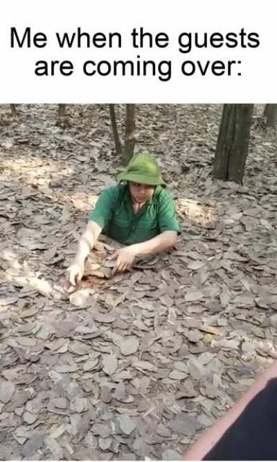 Must hide