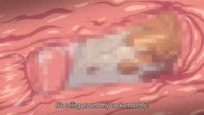 [Succubus Appli Gakuen Saimin]