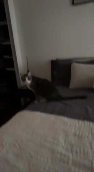 You can run but you can't hide!