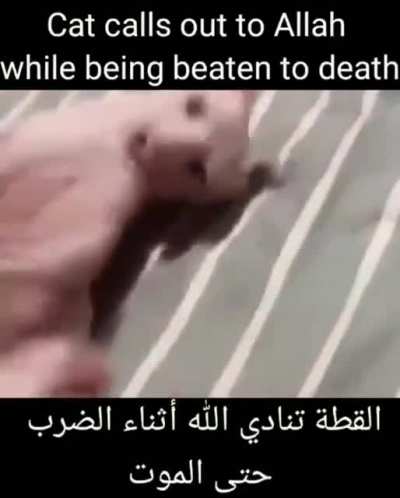 NOOO ALLAH