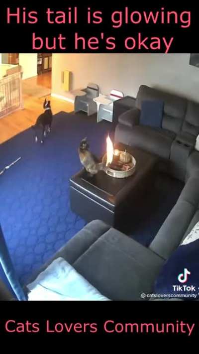 This is fine :-)