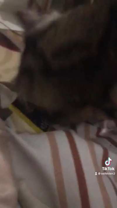 What's is this song?