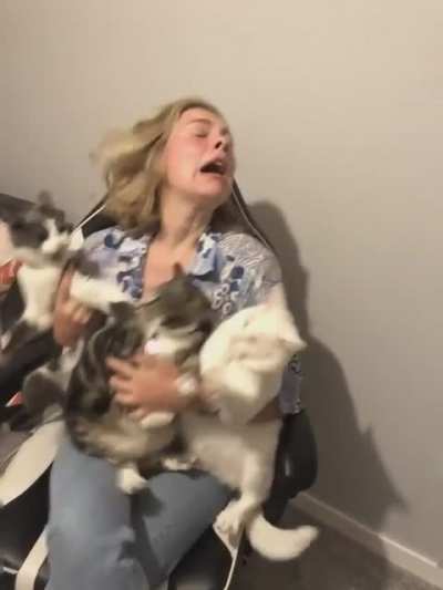 Taking cute pics with the cats