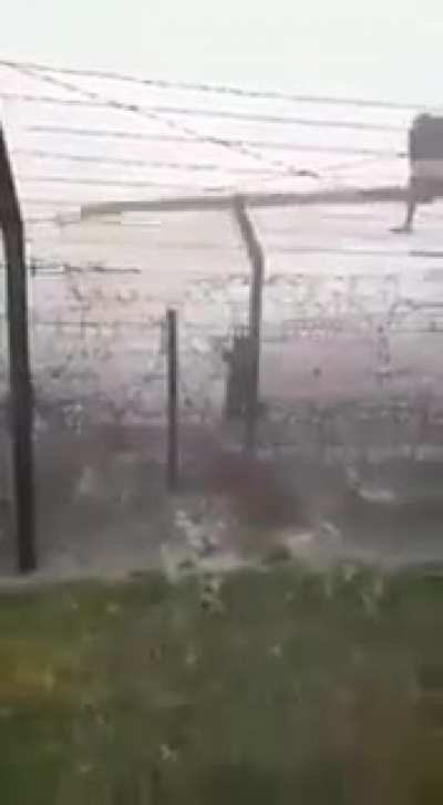 Cow-Smuggling at Bangladesh-India border
