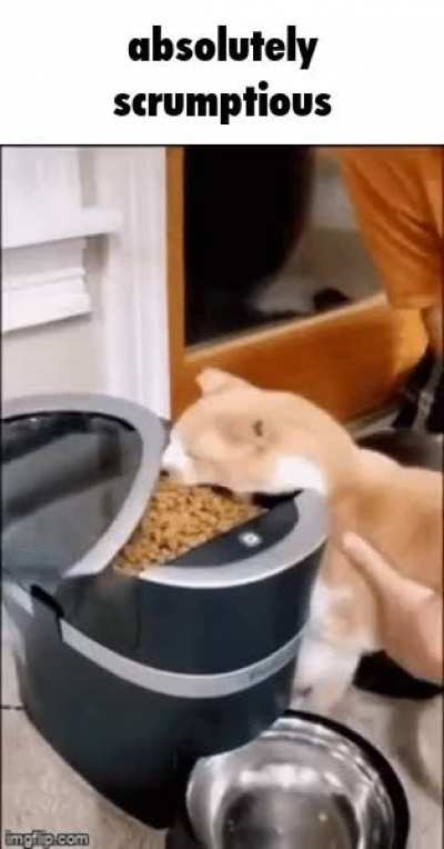 Absolutely Scrumptious