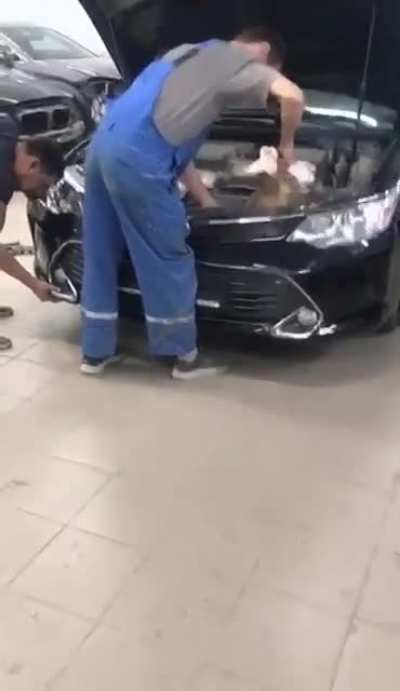 Мой механик волшебник