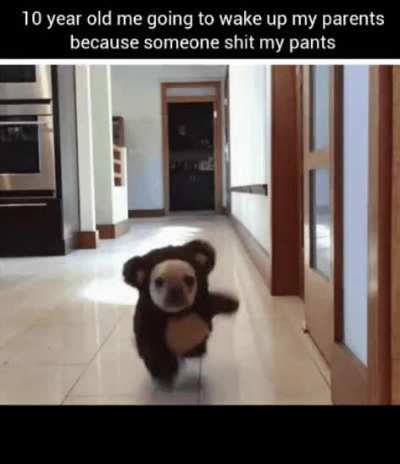 Was probably the dog
