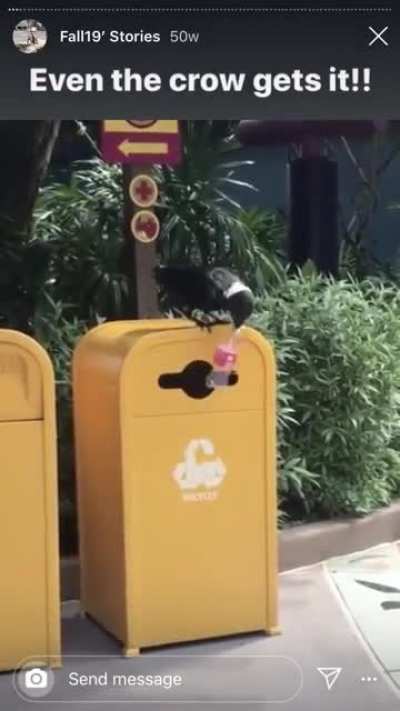 A magpie that puts its skills to good instead of bad