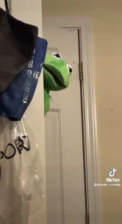 KERMIT WANT HIS MONEY!!! By darth_schwitty
