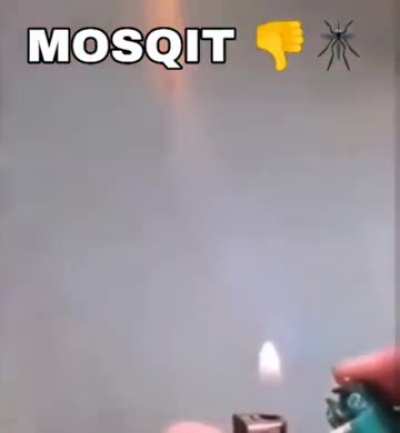 MOSQUITð